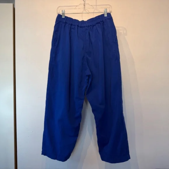 Big Bud Press Pleated Trousers in bright royal blue - size M petite - Picture 5 of 7